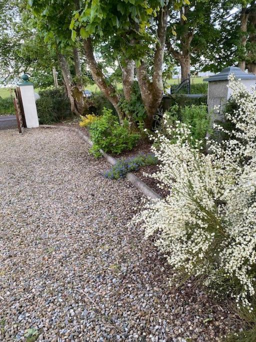 Breathnach Cottage Annex Knockleagha Ballina F26 D7E2 Exteriér fotografie