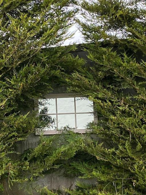 Breathnach Cottage Annex Knockleagha Ballina F26 D7E2 Exteriér fotografie